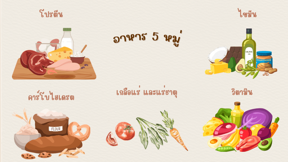 อาหาร 5 หมู่ โปรตีน คาร์โบไฮเดรต เกลือแร่ วิตามิน ไขมัน